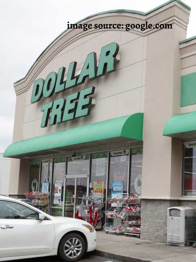 http://topstories.edueuphoria.com/wp-content/uploads/2023/11/9-Best-New-Items-Coming-to-Dollar-Tree-This-Winter.jpg